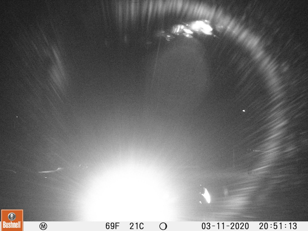 This image has an empty alt attribute; its file name is 031100391.jpg