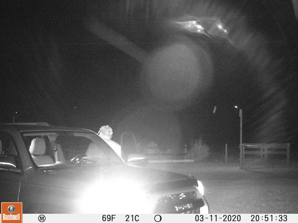 This image has an empty alt attribute; its file name is 031100401.jpg