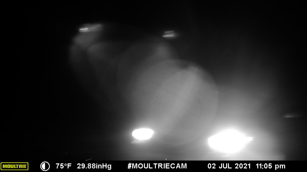 This image has an empty alt attribute; its file name is mfdc0075.jpg