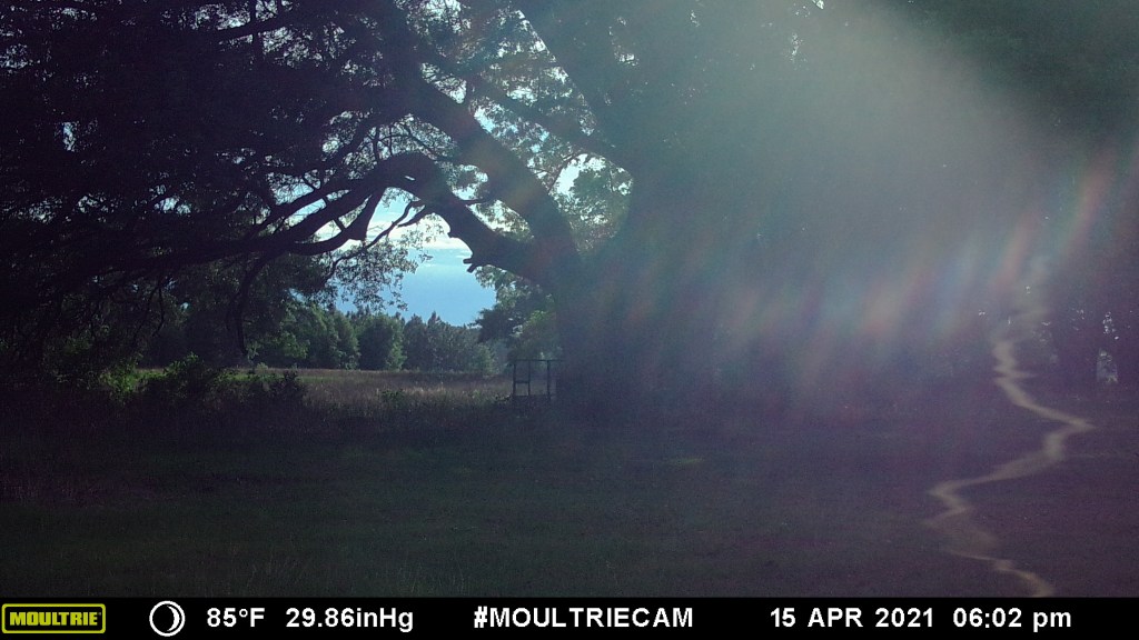 This image has an empty alt attribute; its file name is mfdc0145.jpg