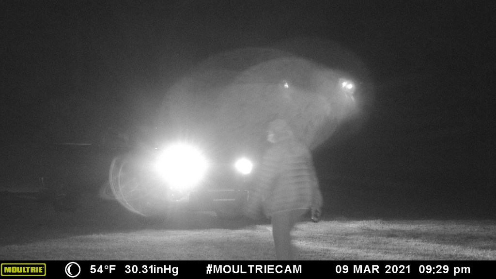 This image has an empty alt attribute; its file name is mfdc8961.jpg