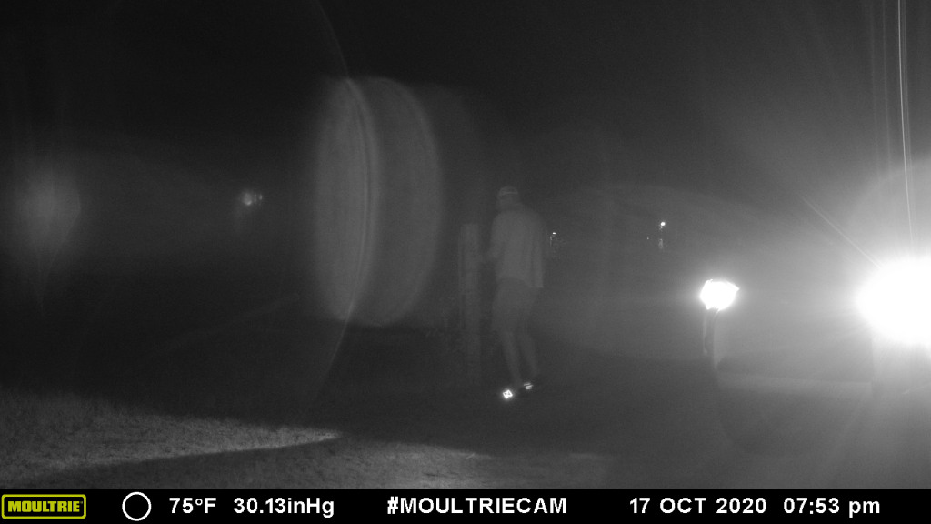 This image has an empty alt attribute; its file name is mfdc95931.jpg