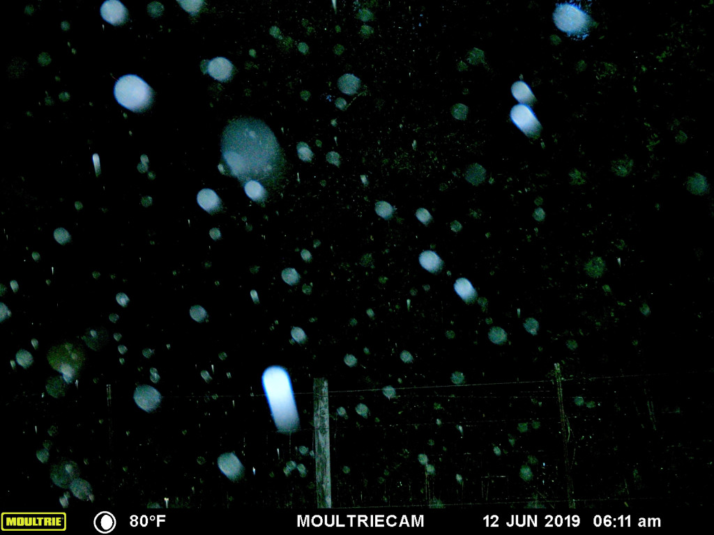 This image has an empty alt attribute; its file name is orb41.jpg