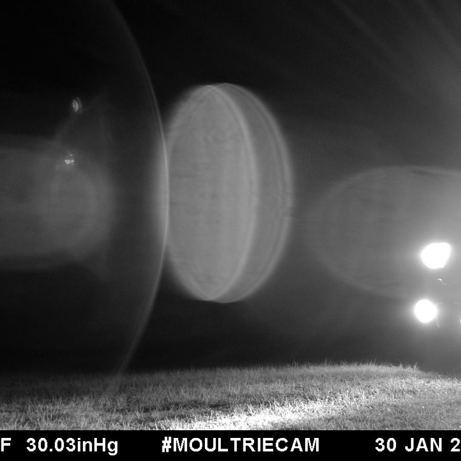 This image has an empty alt attribute; its file name is mfdc9651.jpg